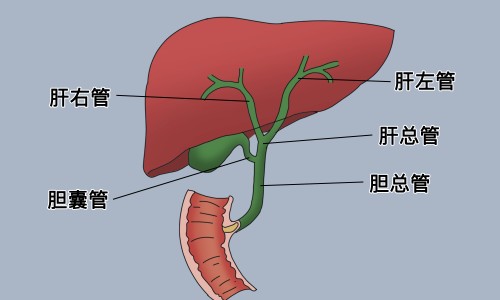 肠镜万一检查结果不好的原因-肠镜万一检查结果不好网肠镜不好的报告单图片知识网站,分享肠镜医生提示结果不太好怎么回事儿大全